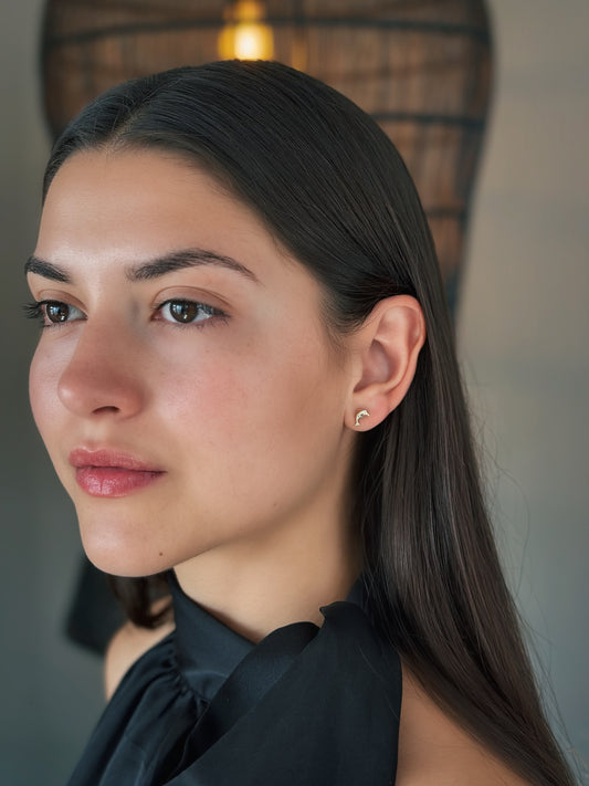 Golden Wave - 9ct Dolphin Studs